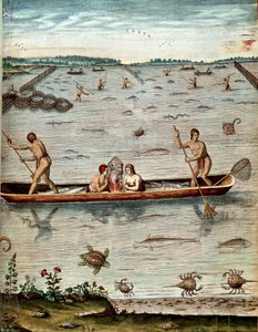 アメリカの歴史：「バージニア州の住民の間での釣り」 カメ、カニ、様々な魚の変種の水の中で。Theodore de Bry (1528-1598)の「Admirante Narratio Americae」からのエングレーヴィング。 作： Theodore de Bry