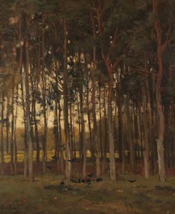 森の中を見る 作： Theophile de Bock