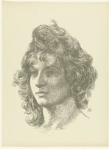 Portret van Jonge Vrouw 若い女性の頭の研究 裁判（シリーズタイトル） 作： Théo van Rysselberghe