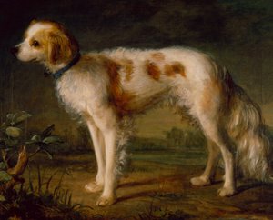 風景の中のスパニエル (オイル) 作： Thomas (circle of) Gainsborough