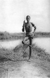 特徴的なディンカの態度、テラケッカからアウェイル、スーダン、1925 1927
