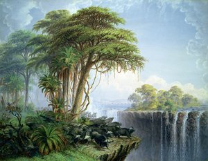 不明な画像 作： Thomas Baines