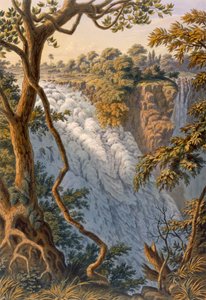 Victoria Falls: The Leaping Water、パブ。 1864年。