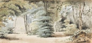 アーバーと樹木のあるマートンの敷地の一部（レクト）