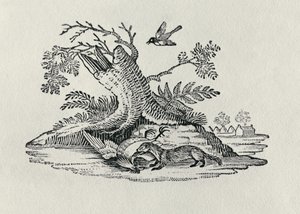「四足動物の歴史」からの鳥とおんどり1790 作： Thomas Bewick