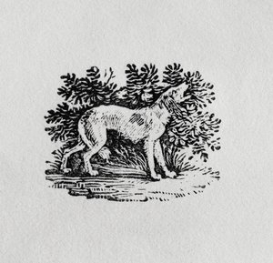 19世紀の「四足動物の歴史」の猟犬 作： Thomas Bewick