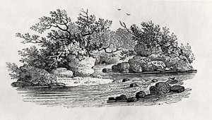 1804年に出版された「水鳥」より「川の曲がり角」（木版画