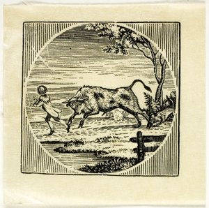 挿絵 作： Thomas Bewick