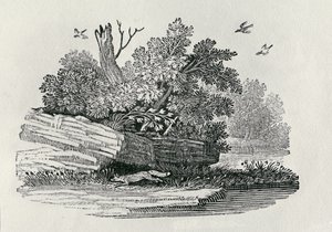 フォックスの脱出、「四足歩行の一般的な歴史」から1790年に出版（木版画） 作： Thomas Bewick