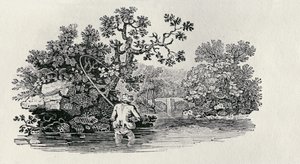「イギリスの鳥と四足動物の歴史」からサーモンをプレイ 作： Thomas Bewick