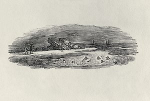 沿岸輸送のある岩、c。 1801年、「水鳥」から出版、1804年（木の彫刻）