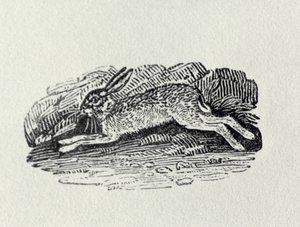 「イギリスの鳥と四足動物の歴史」のノウサギ 作： Thomas Bewick