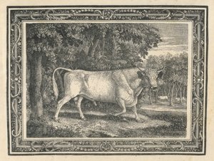 チリンガムの野生の雄牛 作： Thomas Bewick