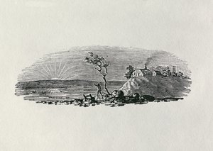 「イギリスの鳥と四足動物の歴史」からの冬の夕日（bw彫刻） 作： Thomas Bewick