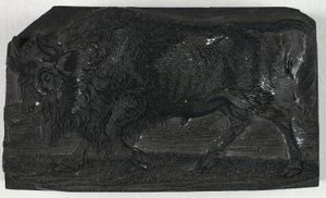 四足動物の一般的な歴史からのウルスまたは野生の雄牛の木版画 作： Thomas Bewick