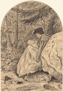 自然からのスケッチ 作： Thomas C. Farrer