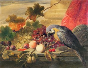 不明な画像 作： Thomas C. Ward
