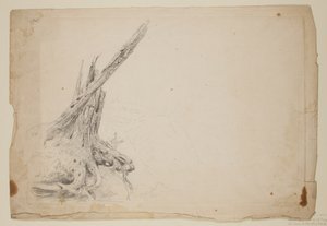 折れた木の幹（紙に鉛筆） 作： Thomas Cole