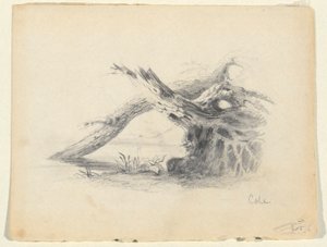 2 つの枯れ木のスケッチ 作： Thomas Cole
