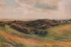 アランデルパーク、1874 作： Thomas Collier