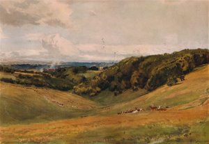 鹿のいるアランデルパーク、1880年 作： Thomas Collier