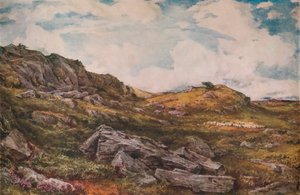 ブライスバラコモン、1888 作： Thomas Collier