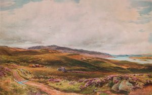畏怖の念、1874