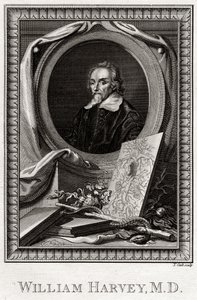 ウィリアム・ハーヴェイ、1777