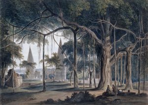 アゴリ、ウッタルプラデーシュ州のヒンズー教の寺院、 作： Thomas Daniell