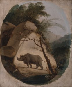 インドサイ 作： Thomas Daniell