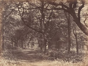 ウッドシーン、ノートン、チェシャー、1856年。 作： Thomas Davies