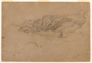 自然から学ぶ 作： Thomas Doughty
