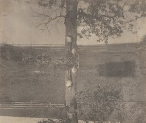 [ペンシルベニア州アボンデールのクロウェル・チルドレン]。 作： Thomas Eakins