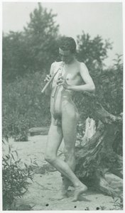 J.ローリーウォレスアルカディアの研究、c。 1883年。
