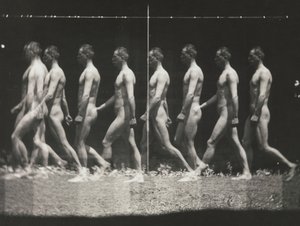 [Man Walking, Stroboscopic Photograph]、1880 年代、1930 年代から 40 年代に印刷、1880 年代に 1930 年代から 40 年代に印刷。 作： Thomas Eakins