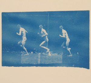 マレー ホイール ジェシー ゴドリーの写真、1884 年。 作： Thomas Eakins