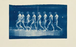 マレー ホイール ジェシー ゴドリーの写真、1884 年。 作： Thomas Eakins
