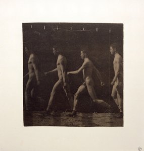 マレー ホイールの未確認モデルの写真、c。 1884年。 作： Thomas Eakins