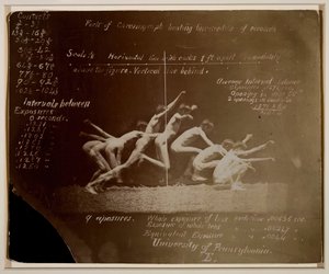 マレー・ホイールの写真（未確認モデル）、エドワード・マイブリッジのメモ付き、1884年 作： Thomas Eakins