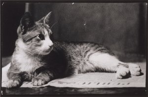  作： Thomas Eakins