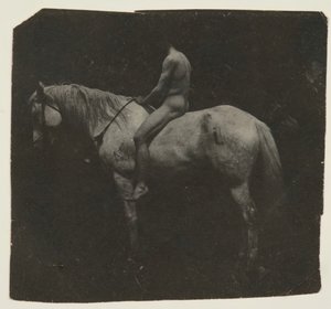 サミュエル・マレー・アストライド・エイキンズのホース・ビリー、c。 1892年。 作： Thomas Eakins