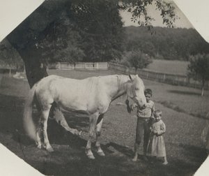 ペンシルベニア州エイボンデールにあるトーマス・イーキンスのホース・ビリーとクロウェルの子供たち。 1892年。 作： Thomas Eakins