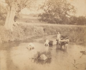 [1883年7月4日、クリークで遊ぶ3人の子供と1匹の犬】、1883年。 作： Thomas Eakins
