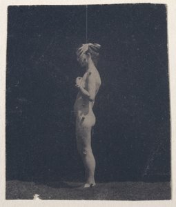 正体不明のモデル、1884 年。 作： Thomas Eakins