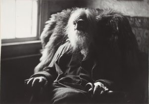 ニュージャージー州カムデンのウォルト・ホイットマン、c. 1891年。