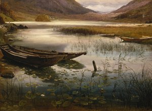 舟と睡蓮 作： Thomas Fearnley