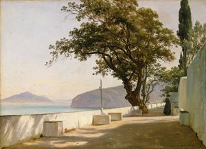 オークのあるテラス、ソレント 作： Thomas Fearnley