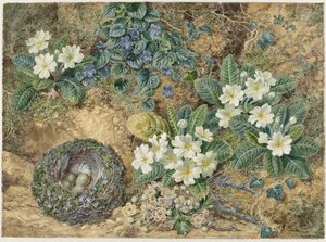 鳥の巣、スミレ、サクラソウ、リンゴの花の静物