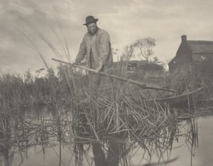 1886年、グラッドン号のカット（写真）
