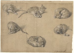 猫の6つの研究 作： Thomas Gainsborough